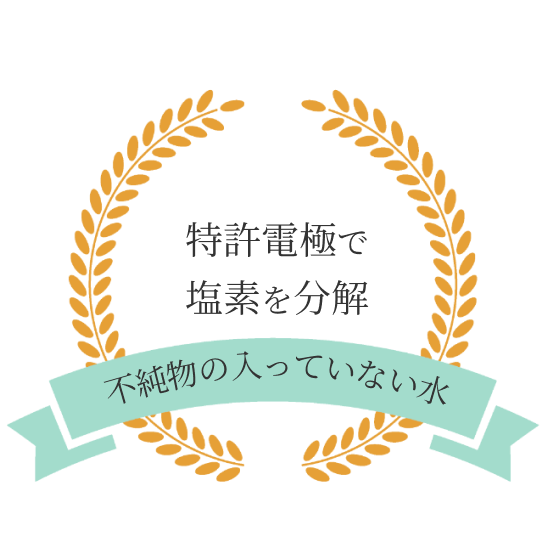特許電極で塩素を分解